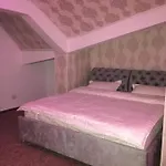 Ely's Mansion-24h Check-in 住宿加早餐酒店
