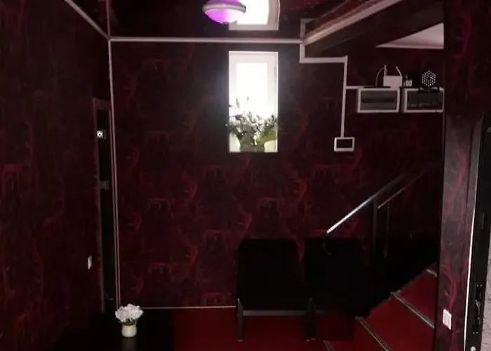 住宿加早餐酒店 Ely's Mansion-24h Check-in 布加勒斯特