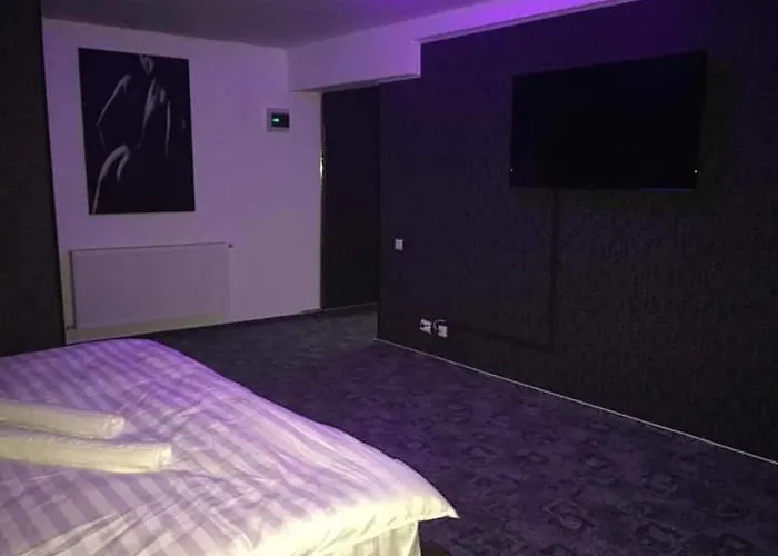 Ely's Mansion-24h Check-in 3* Bucureşti