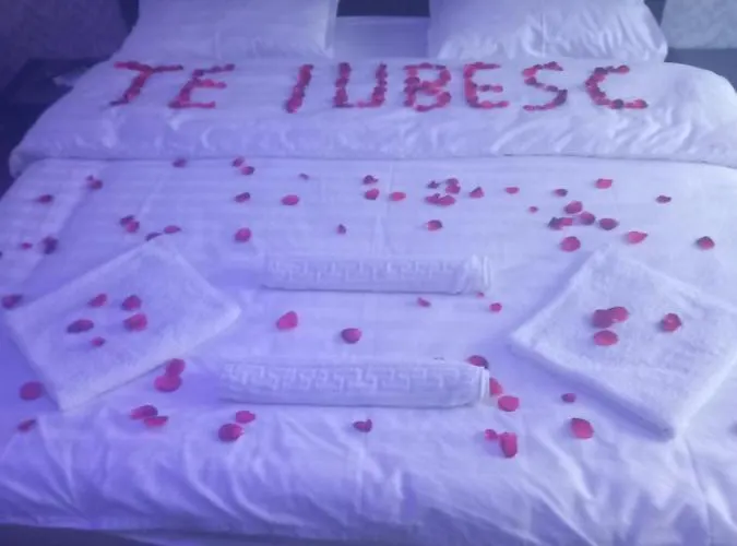 Ely's Mansion-24h Check-in 3* 布加勒斯特