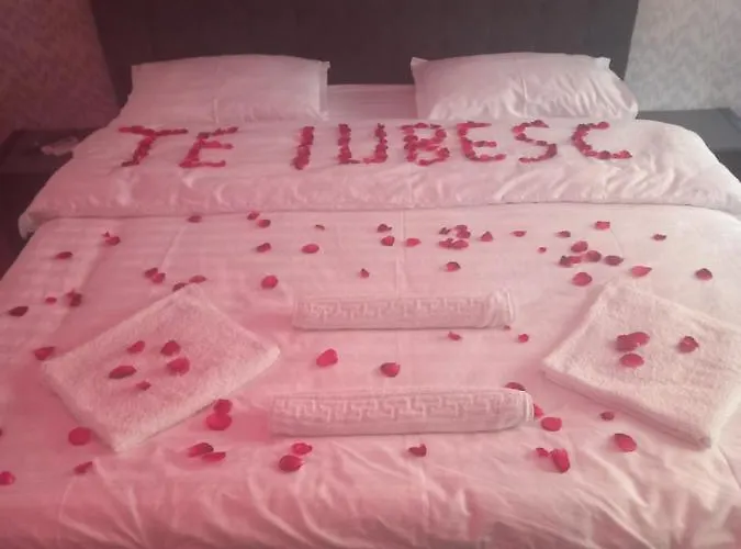 Ely's Mansion-24h Check-in B&B Bucureşti