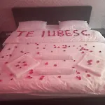 Ely's Mansion-24h Check-in Bed & Breakfast Bucharest